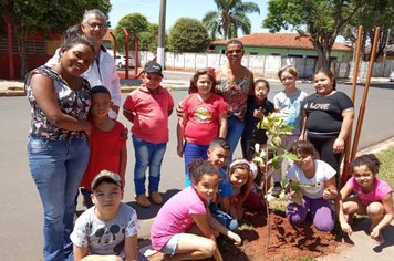 Prefeitura realiza plantios em locais estratégicos para aumentar a cobertura vegetal do município,  trazendo conforto e qualidade de vida para a população .