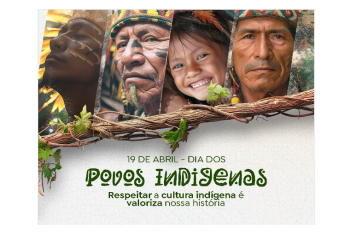 Cultura Indígena