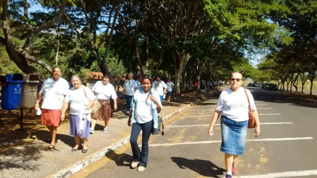 CCI NO ZOO DE Bauru