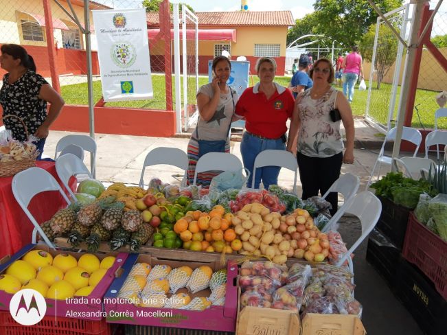 1 FEIRA AGRO ALVINLÂNDIA