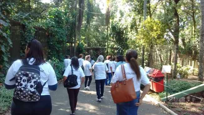 CCI NO ZOO DE Bauru
