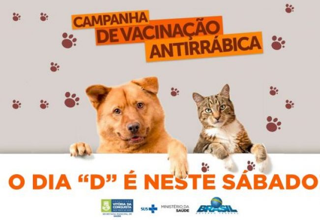 Você sabe como prevenir doenças de animais de estimação?